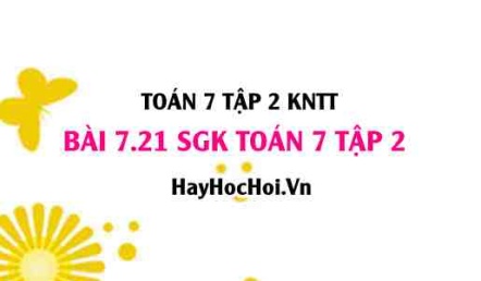 Bài 7.21 SGK Toán 7 tập 2 Kết nối tri thức